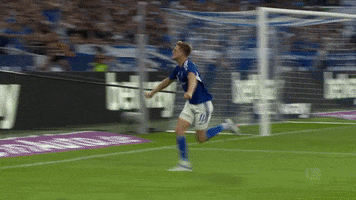 Happy Football GIF by FC Schalke 04
