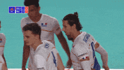 GIF by Volleyball World