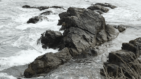 westondentistryDMD giphyupload waves rocks scenery GIF