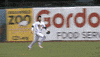 baseball fail GIF by Kane County Cougars