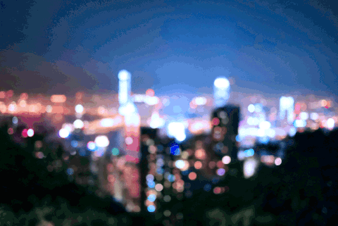 hong kong GIF