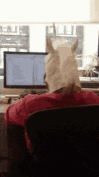 Seo Horse Luis GIF by Kiwosan