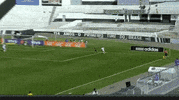 soccer brazil GIF