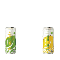 Terma natural sabor limon compartir Sticker