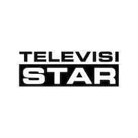 Flag Tvs Sticker by televisistar
