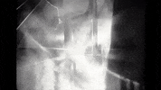 Matt Greiner Metal GIF by August Burns Red