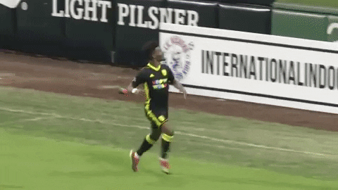 Goal Celebration GIF by New Mexico United