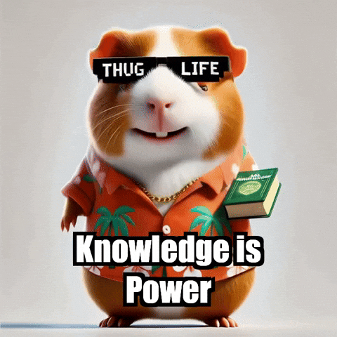 Wisdom Knowledge GIF by Guinea Gambino
