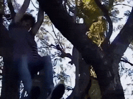 Music Video Anyone Else GIF by Joshua Bassett