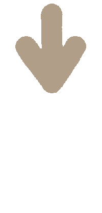 Beige 矢印 Sticker