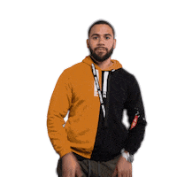 P4L Sticker by Emile Machado