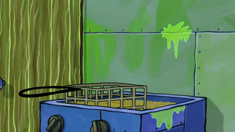 season 9 GIF by SpongeBob SquarePants