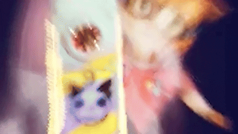 GIF by Wired Productions