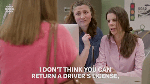 baroness von sketch GIF