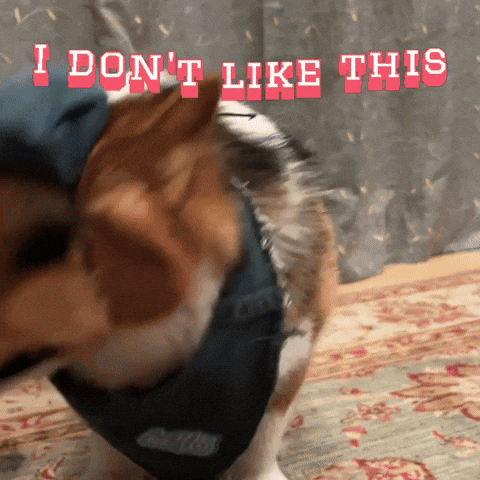 I Dont Like This GIF