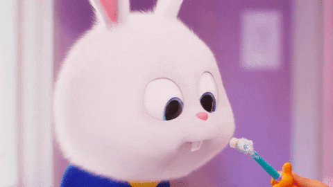 lolathebunny giphyupload GIF