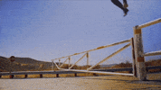 la luz GIF by Hardly Art