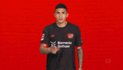 Bayer Leverkusen GIF by Bundesliga