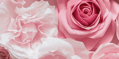 Mother GIF by SHANNON BALENCIAGA