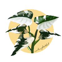 White Princess Houseplant Sticker