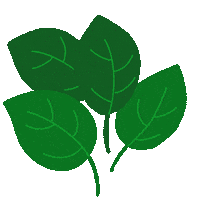 Gemuse Feld Sticker