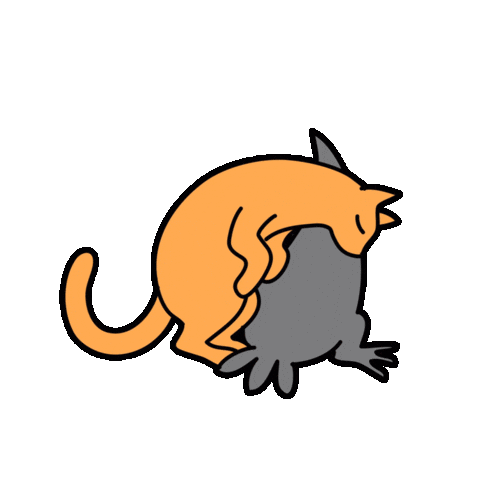 Cat Crow Sticker