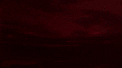 Afas Stadion Goal GIF by AZ Alkmaar