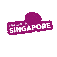 Take Me There Travel Sticker by Desired Landscapes