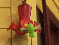 Hummingbird