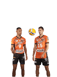 Brvolleys Sticker by Volleyball Bundesliga