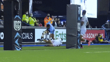 South Africa Celebration GIF by Cardiff Blues