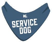 Dog Puppy Sticker by Merrick Pet Care