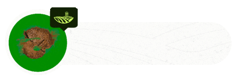 Axion Sticker by AgroActiva