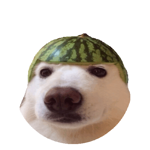watermelon STICKER by imoji