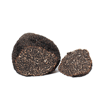 ManjaresdelaTierra gourmet gastronomy truffle trufa Sticker