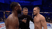Aljamain Sterling Sport GIF by UFC