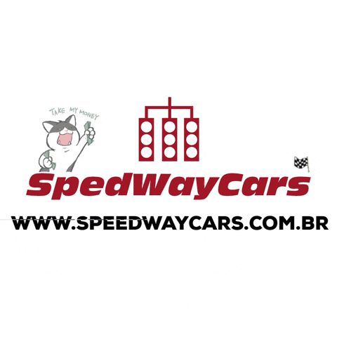 speedwaycars tury racechrome speedwaycars abafadoresportivo GIF
