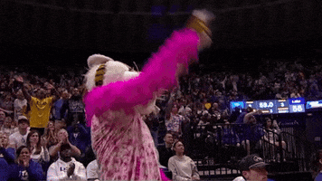 Womens Basketball Sport GIF by NCAA March Madness