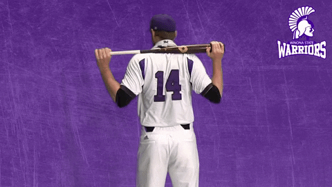 Baseball Warriors GIF by WinonaStateATH