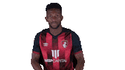 Football Mean Sticker by AFC Bournemouth