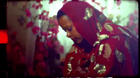 correy c pinball ii GIF by bas