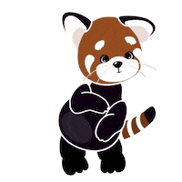 Panda Yes Sticker