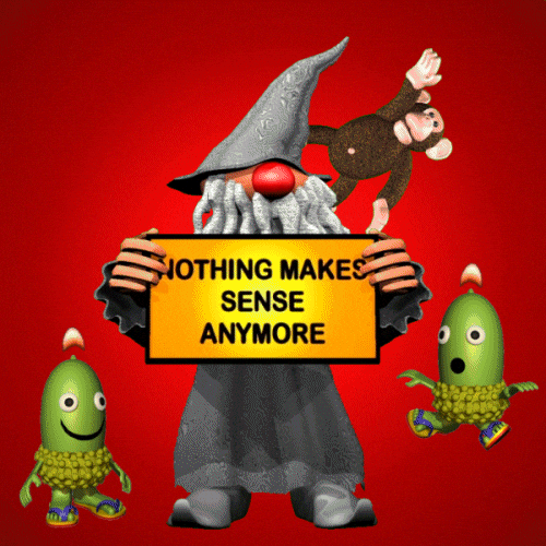 Nonsense I Dont Get It GIF