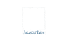 Oklahoma City Ok Sticker by Vesta Realty