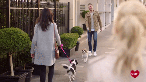 bacheloretteau giphygifmaker bacheloretteau sophie monk GIF