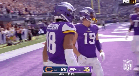 Minnesota Vikings Football GIF by NFL
