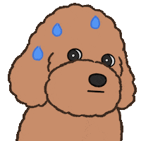 Puppy Poodle Sticker