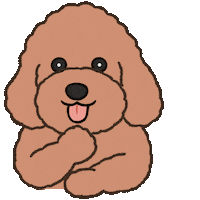 Puppy Poodle Sticker