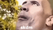 wtfsadi skdm GIF