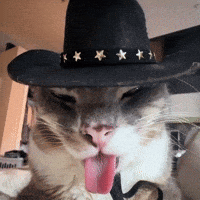 Cowboy GIF